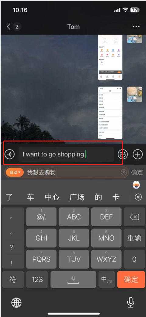 设置翻译功能4