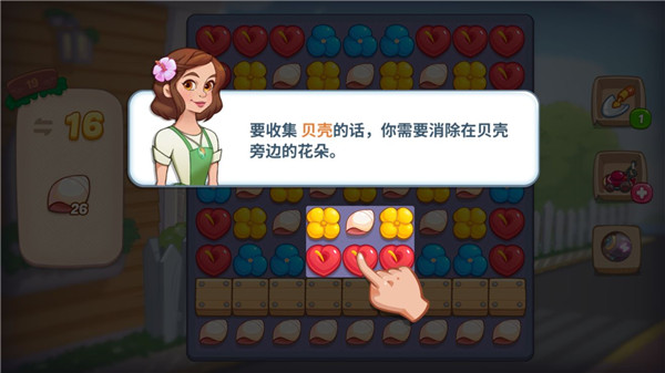 贝壳