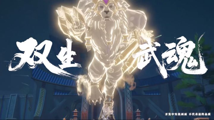 双生武魂玩法实用思路