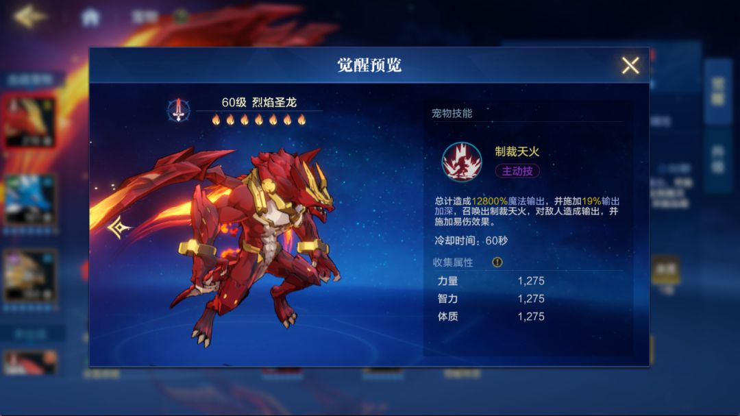 宠物系统介绍3