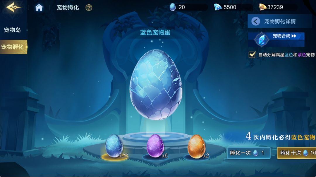 宠物系统介绍4