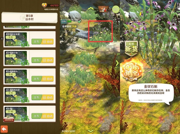 金钗石斛论