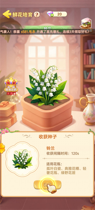 游戏攻略3