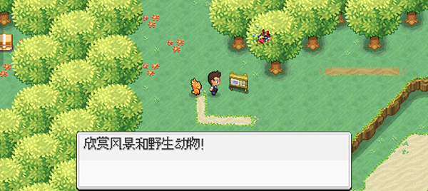 游戏攻略5